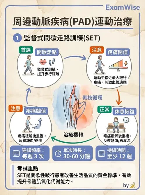 物治 - 心肺系統疾病 - AI 圖文解析預覽