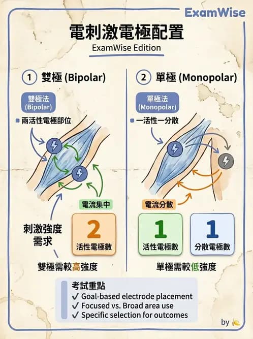 物治 - 經皮電刺激與電療基礎 - AI 圖文解析預覽