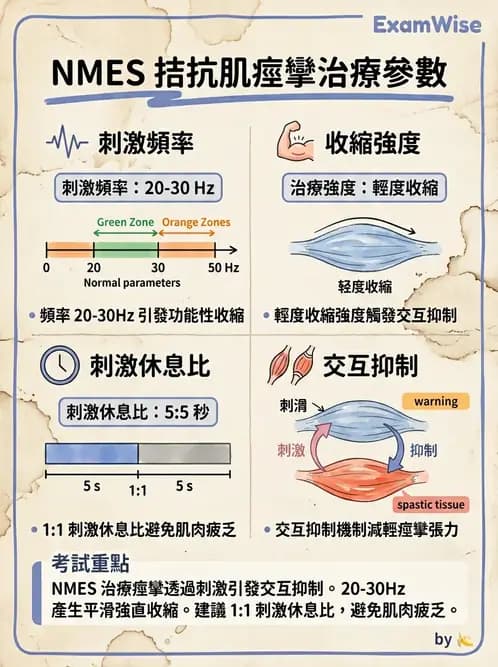 物治 - 神經肌肉電刺激 - AI 圖文解析預覽