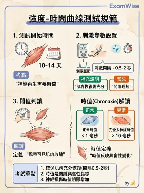 物治 - 電生理診斷 - AI 圖文解析預覽