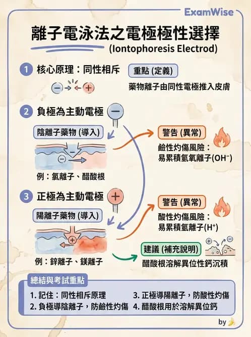 物治 - 離子導入法 - AI 圖文解析預覽
