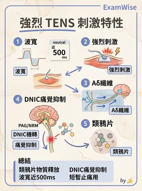 物治 - 經皮電刺激與電療基礎 - AI 圖文解析預覽