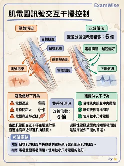 物治 - 肌電生物回饋 - AI 圖文解析預覽