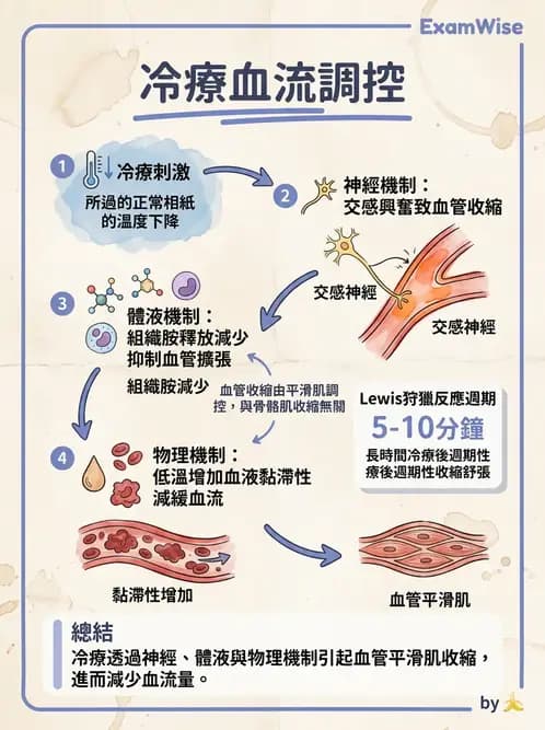 物治 - 溫度療法 - AI 圖文解析預覽
