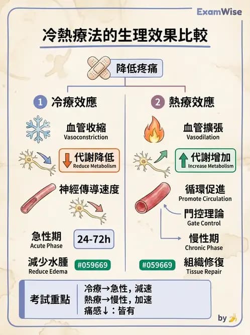 物治 - 溫度療法 - AI 圖文解析預覽