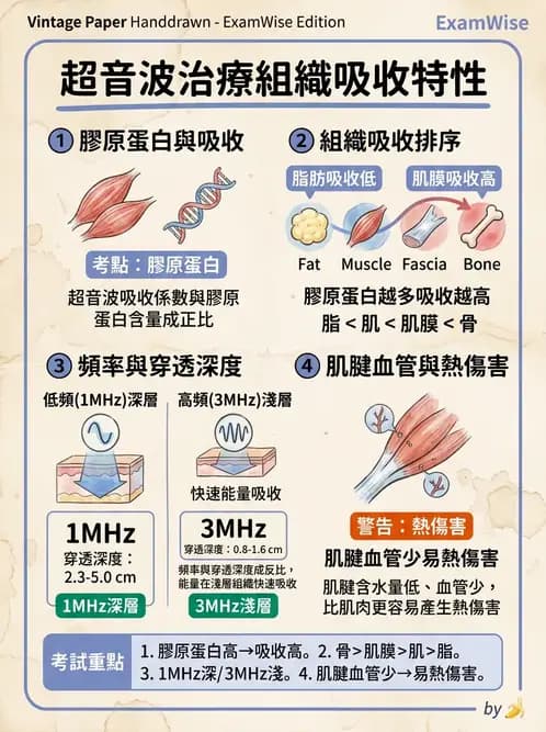 物治 - 超音波 - AI 圖文解析預覽