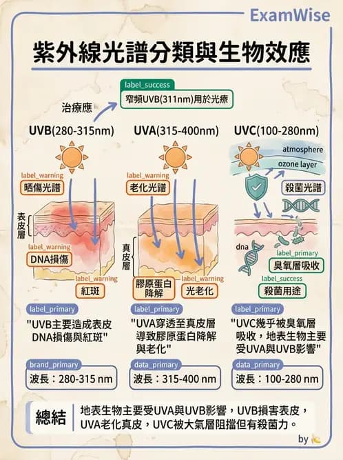 物治 - 紫外光 - AI 圖文解析預覽