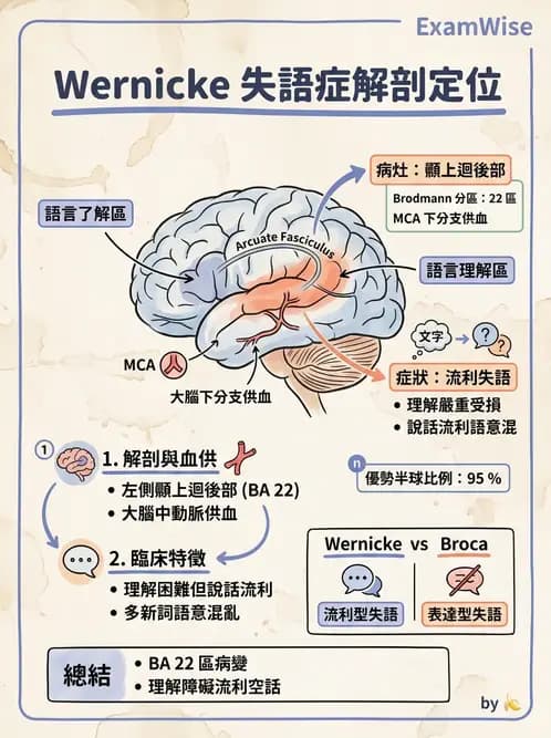 物治 - 功能評估與再教育 - AI 圖文解析預覽