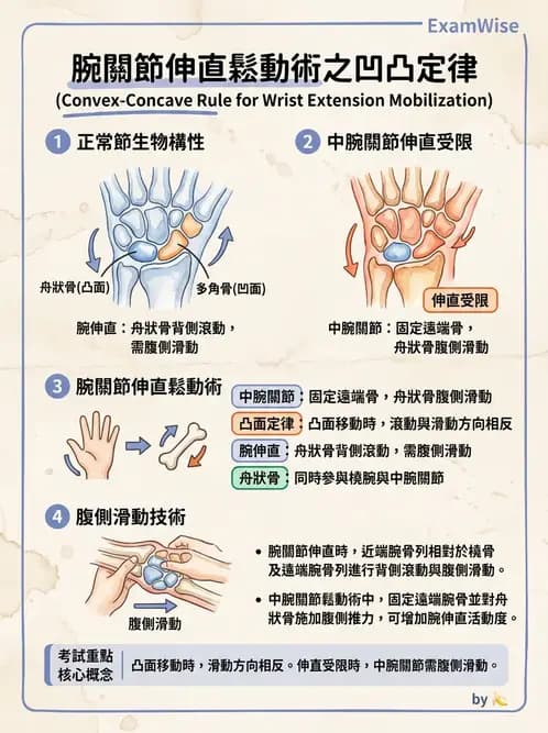 物治 - 鬆動術臨床應用 - AI 圖文解析預覽
