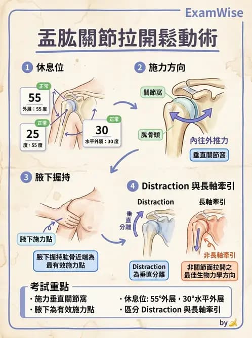 物治 - 鬆動術臨床應用 - AI 圖文解析預覽