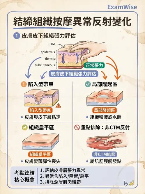 物治 - 深層摩擦按摩與結締組織技術 - AI 圖文解析預覽