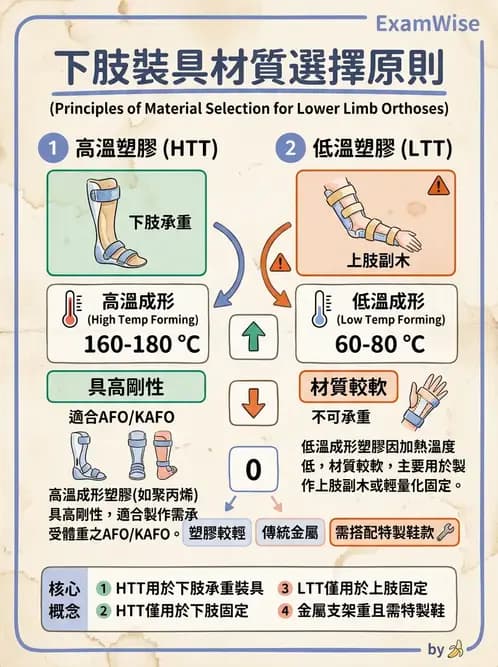 物治 - 裝具與矯具 - AI 圖文解析預覽
