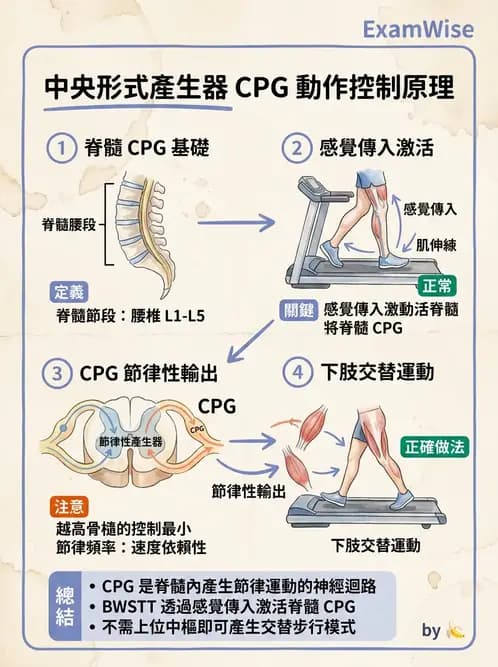 物治 - 動作控制理論 - AI 圖文解析預覽