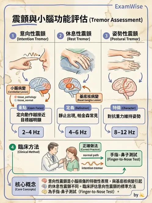 物治 - 小腦疾病物理治療 - AI 圖文解析預覽