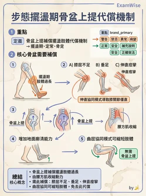 物治 - 腦中風步態分析與行走訓練 - AI 圖文解析預覽