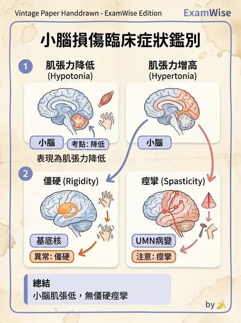 物治 - 小腦疾病物理治療 - AI 圖文解析預覽