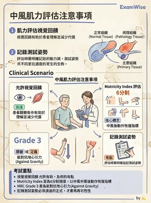 物治 - 腦中風動作評估與分期 - AI 圖文解析預覽