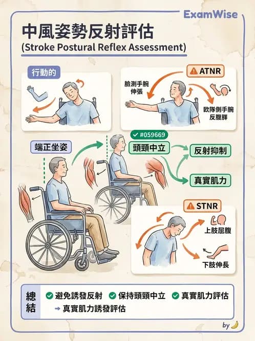 物治 - 腦中風動作評估與分期 - AI 圖文解析預覽