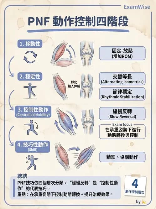 物治 - 神經治療學派技術 - AI 圖文解析預覽