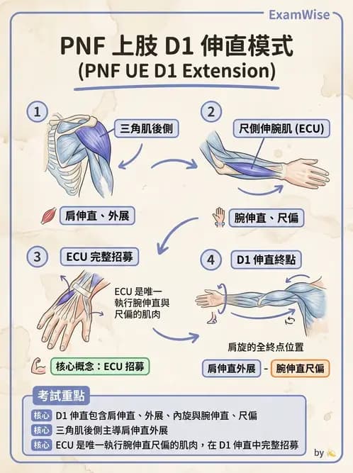 物治 - 神經治療學派技術 - AI 圖文解析預覽