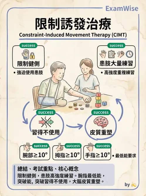 物治 - 腦中風上肢肩部與體適能 - AI 圖文解析預覽
