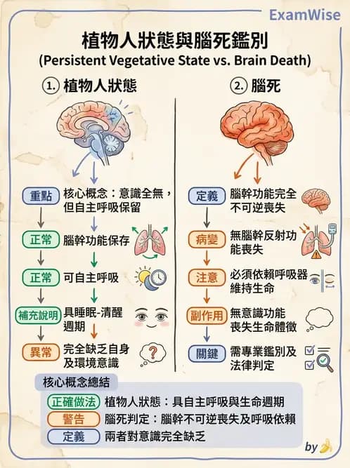 物治 - TBI LOCF分級與復健 - AI 圖文解析預覽