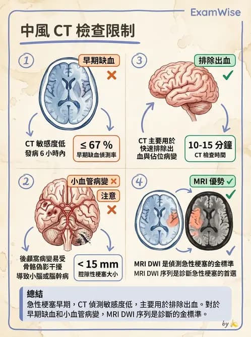 物治 - 腦中風病理與血管解剖 - AI 圖文解析預覽