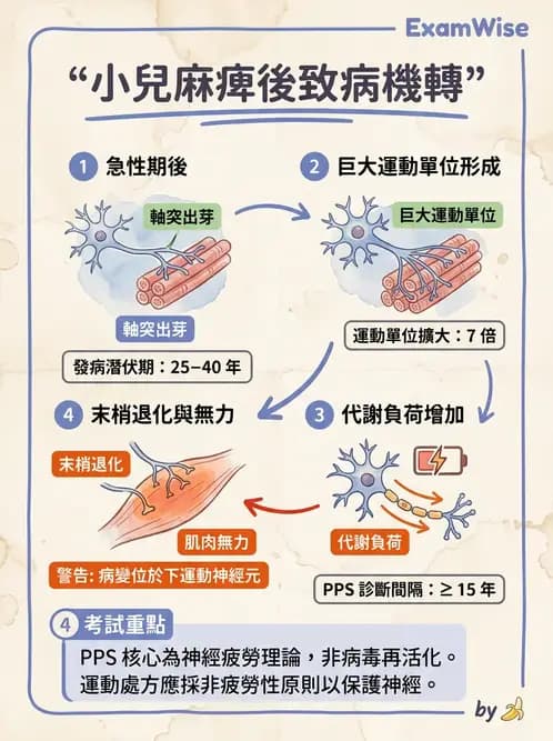 物治 - 神經肌肉疾病 - AI 圖文解析預覽