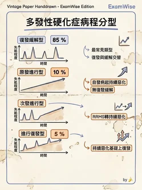 物治 - 多發性硬化症物理治療 - AI 圖文解析預覽