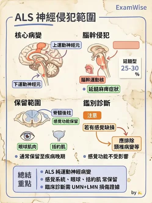 物治 - 運動神經元疾病與其他中樞疾病 - AI 圖文解析預覽