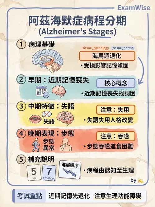 物治 - 失智症與認知退化 - AI 圖文解析預覽