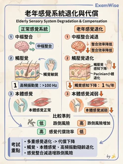 物治 - 衰弱肌少症與長期照護 - AI 圖文解析預覽