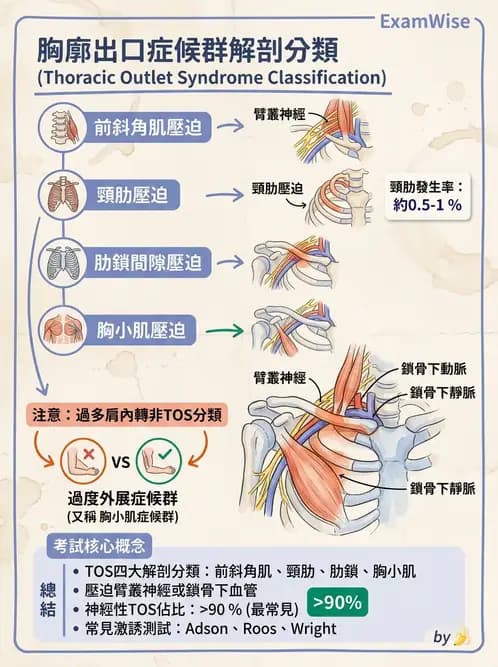 物治 - 冰凍肩與胸廓出口症候群 - AI 圖文解析預覽