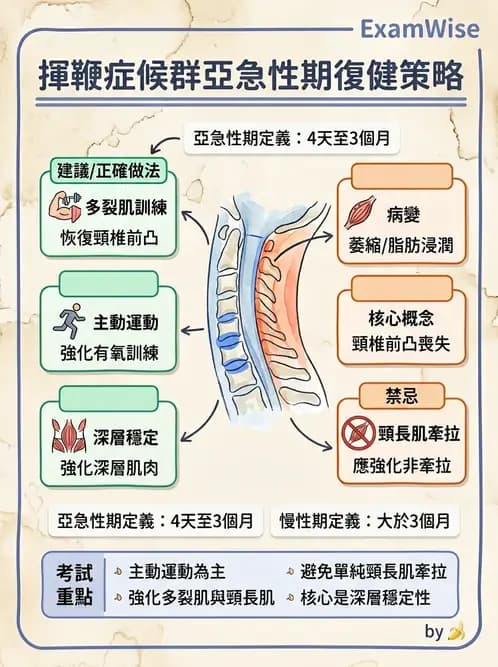 物治 - 頸椎評估與病理 - AI 圖文解析預覽