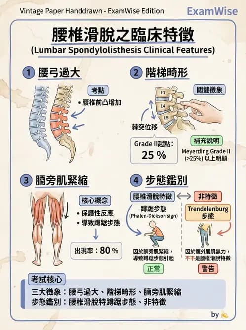 物治 - 腰椎椎間盤與脊椎狹窄 - AI 圖文解析預覽