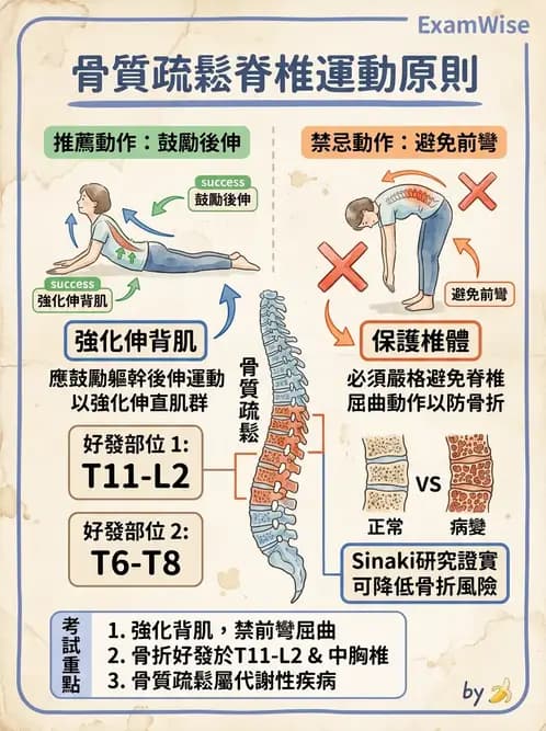 物治 - 女性健康 - AI 圖文解析預覽
