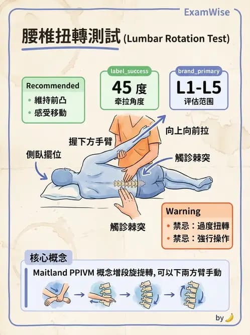 物治 - 腰椎穩定訓練與治療原則 - AI 圖文解析預覽