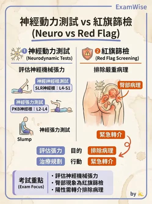 物治 - 腰椎椎間盤與脊椎狹窄 - AI 圖文解析預覽