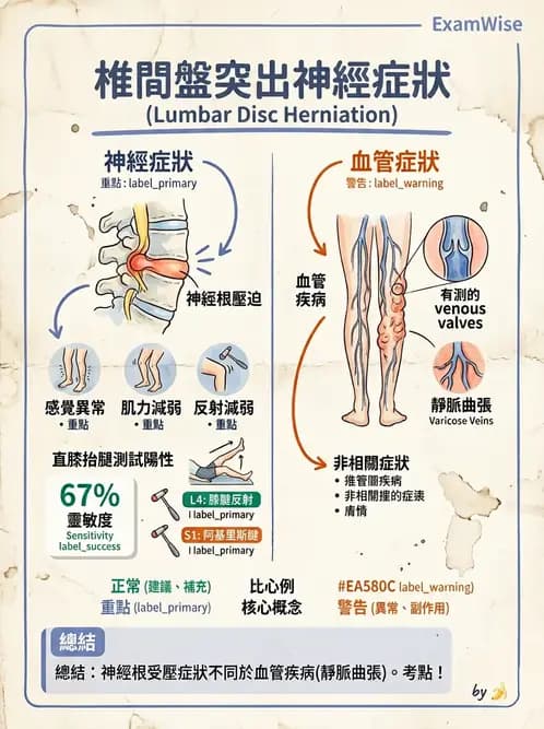 物治 - 腰椎椎間盤與脊椎狹窄 - AI 圖文解析預覽
