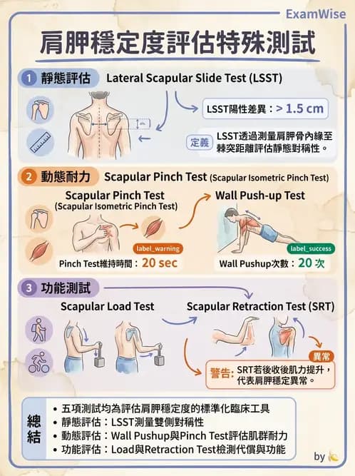 物治 - 肩胛生物力學與神經損傷 - AI 圖文解析預覽