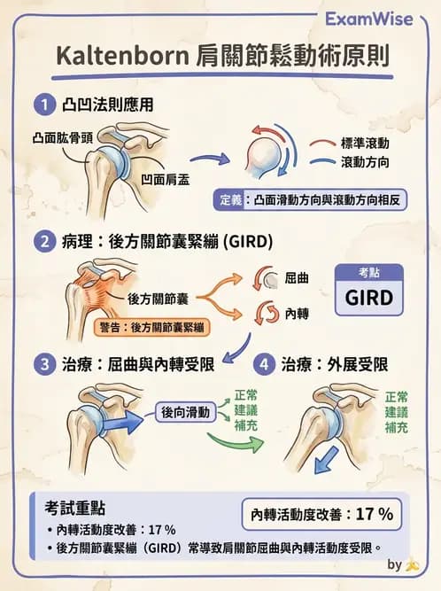 物治 - 冰凍肩與胸廓出口症候群 - AI 圖文解析預覽