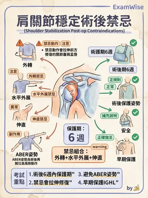 物治 - 肩關節不穩定與盂唇損傷 - AI 圖文解析預覽
