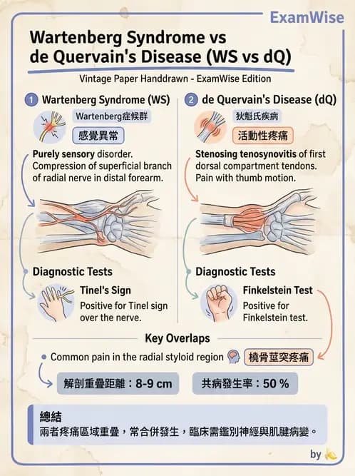 物治 - 腕關節疾病 - AI 圖文解析預覽