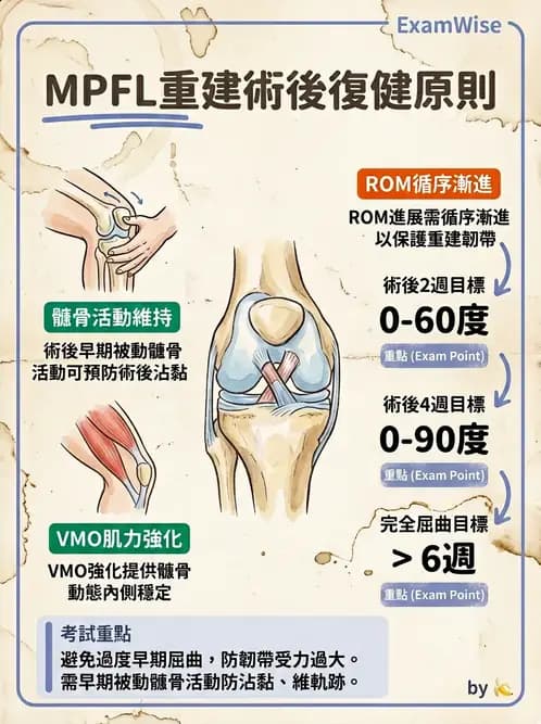 物治 - 髕股關節疼痛與伸展機制 - AI 圖文解析預覽