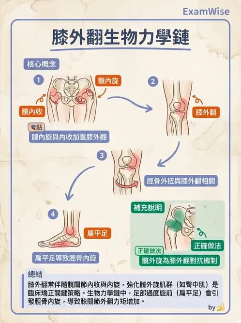 物治 - 膝關節生物力學與退化性疾病 - AI 圖文解析預覽