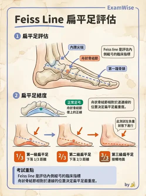 物治 - 足部病變與輔具評估 - AI 圖文解析預覽