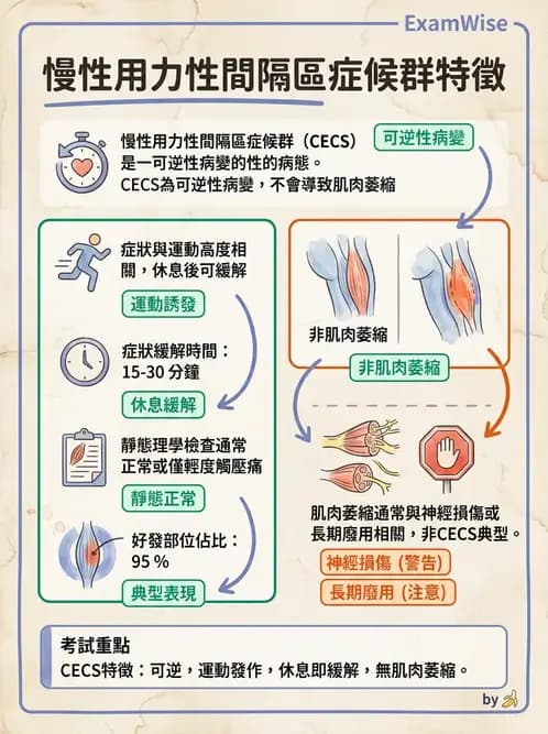 物治 - 踝關節損傷與復健 - AI 圖文解析預覽