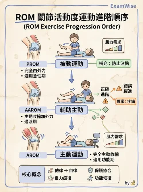 物治 - 初級照護與鑑別診斷 - AI 圖文解析預覽