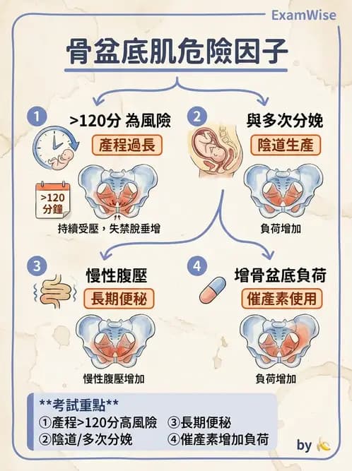 物治 - 女性健康 - AI 圖文解析預覽