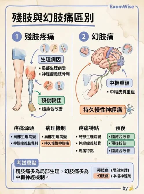 物治 - 截肢 - AI 圖文解析預覽